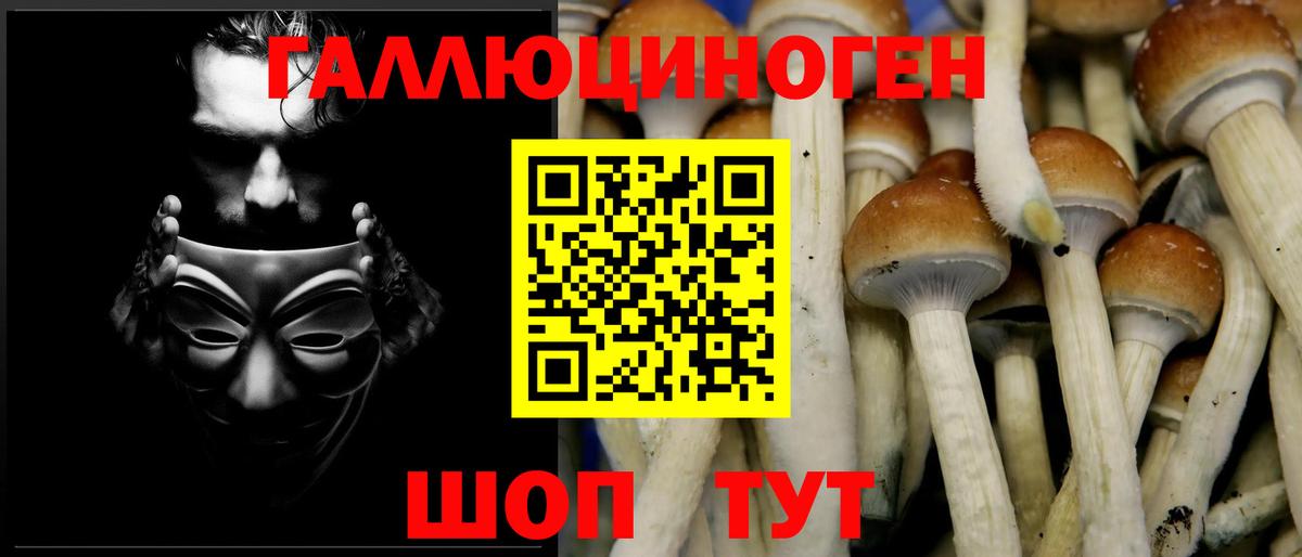 Верхняя Пышма  Галлюциногенные грибы Magic Shrooms  Галлюциногенные грибы ЛСД  Вход с VPN 